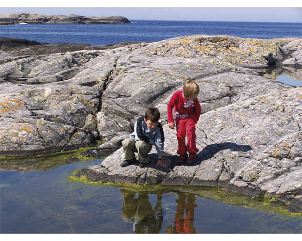 Figur 4.13 Mangfoldig natur i kystsonen – barn studerer livet i fjæra.