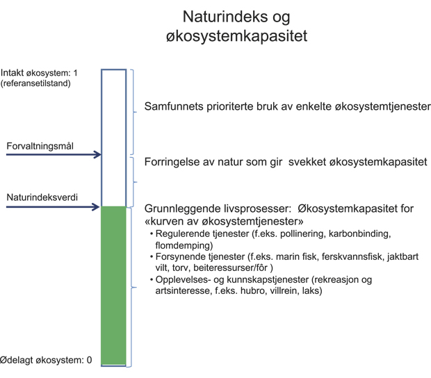 Figur 4.8 Økosystemkapasitet, måling av naturindeksverdi og fastsettelse av forvaltningsmål.