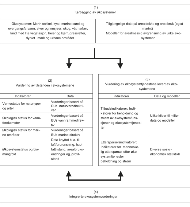 Figur 5.3 Fire steg i kartlegging og vurdering av økosystemer og deres økosystemtjenester.