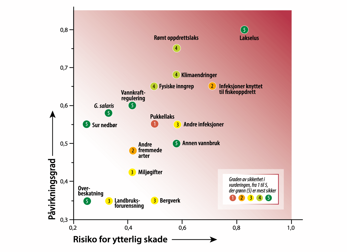 Figur 3.8 Påvirkning på laksebestander