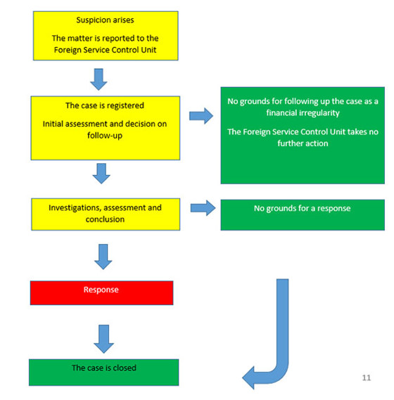 Procedure for dealing with cases of suspected financial irregularities