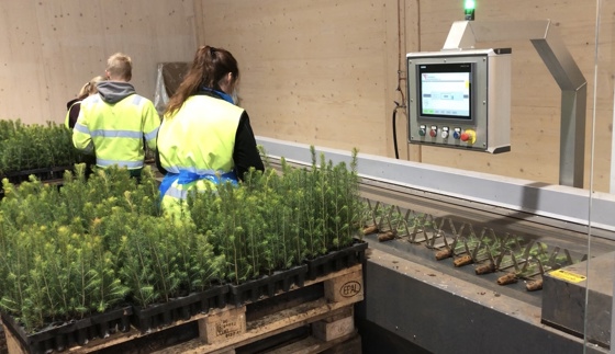 Framtidsrettet skogplanteproduksjon på Biri planteskole.