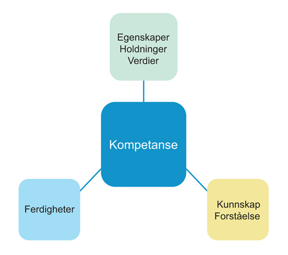 Figur 2.1 Kompetanse
