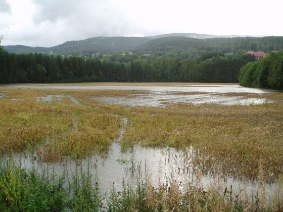 Flom på jordene på Yli, Notodden.