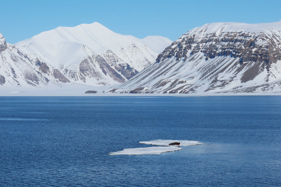 Svalbard