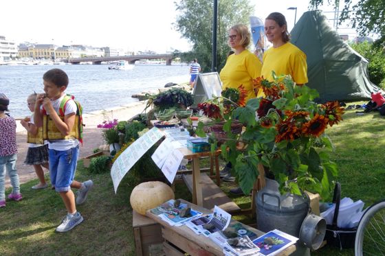 Aktiv markedsføring av andelslandbruk under Elvefestivalen i Drammen. 