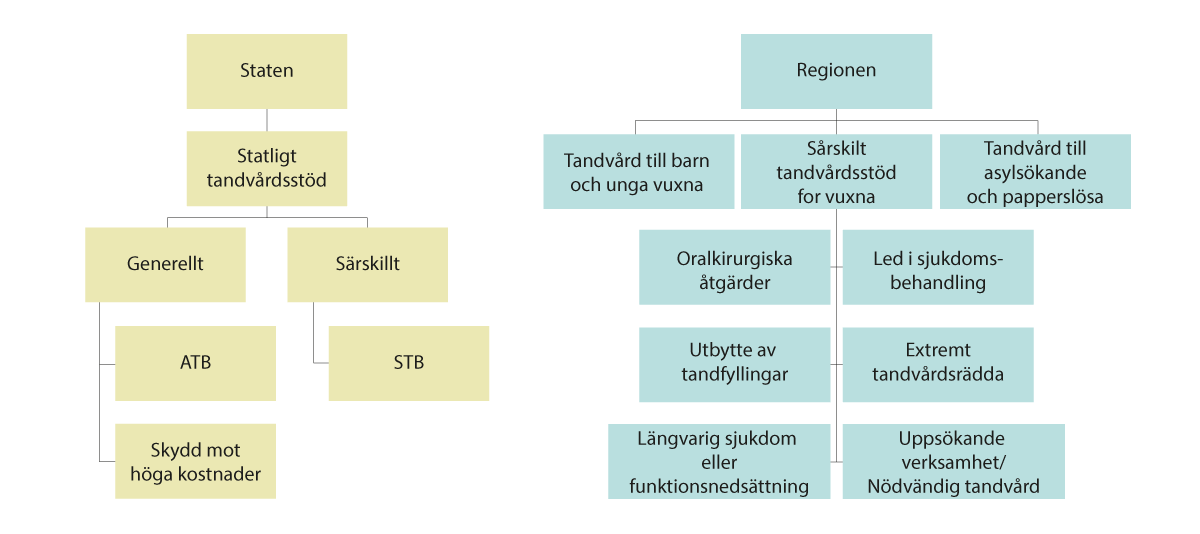 Figur 1.1 Det svenske tannhelsesystemet