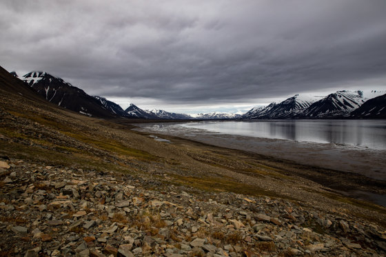 Van Mijenfjorden nasjonalpark