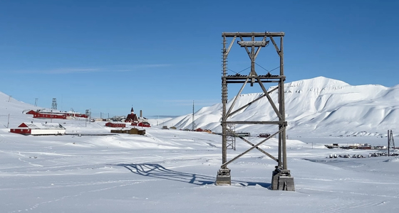 Taubanebukk på elvesletta