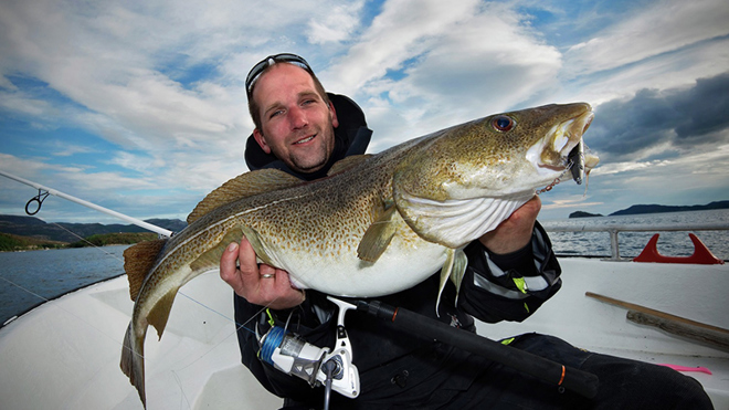 Ein mann held opp ein torsk han har fiska i Finnmark