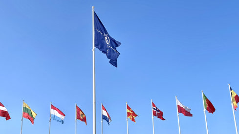  NATO's flag and the flags of the member states. Shot from NATO's HQ in Brussels.