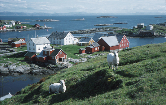 Utsikt fra Velfjordnakken. Vi ser væreierbygningene nærmest, deler av Heimværet bak til venstre og Karlholmen bak til høyre. Foto: Kjell Andresen. © Riksantikvaren.