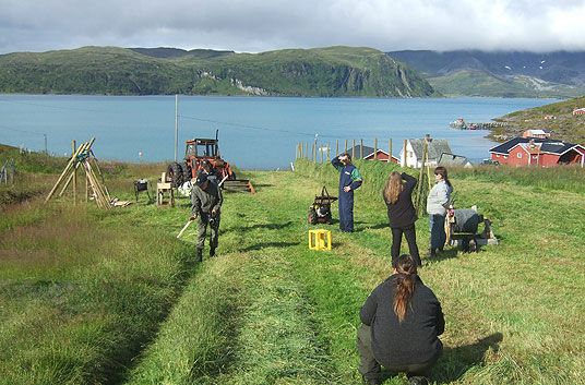 Slåttedag i Sandøybotn på Sørøya.